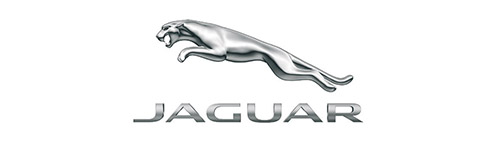 jaguar (1)